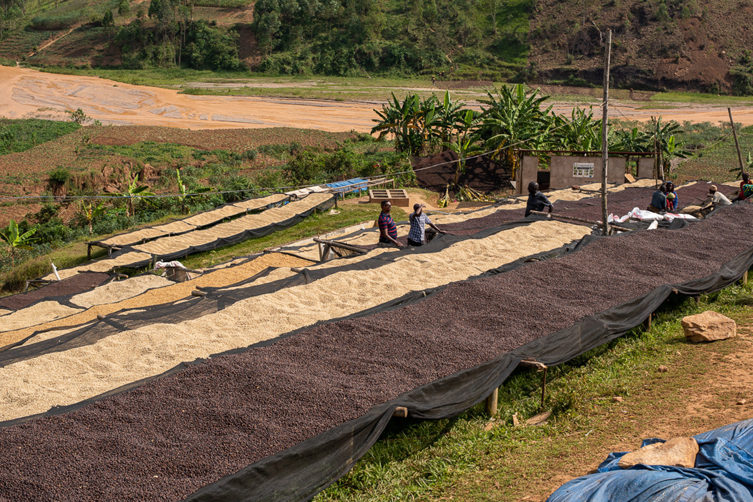 Burundi Izuba Anaerobic Natural.