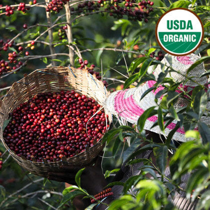 Ethiopia Tega & Tula- Limu Washed Organic