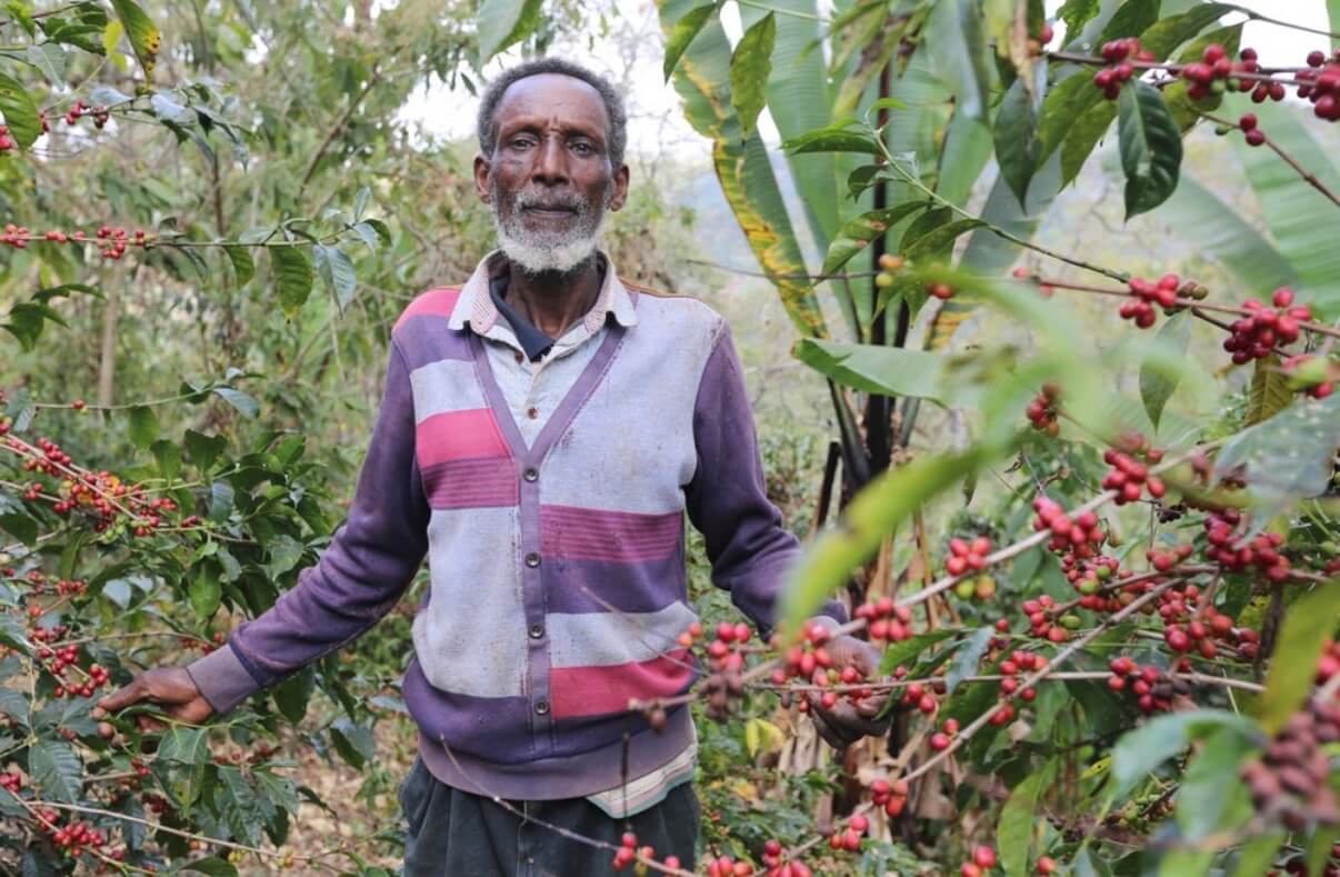 Mr. Kebede Genale, Ethiopia Natural
